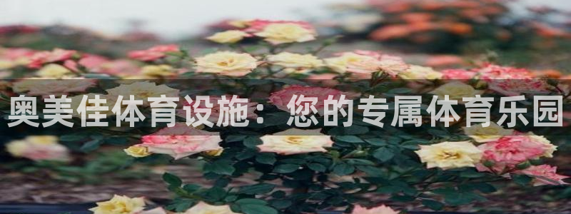 意昂体育4平台是正规平台吗安全吗：奥美佳体育设施：您