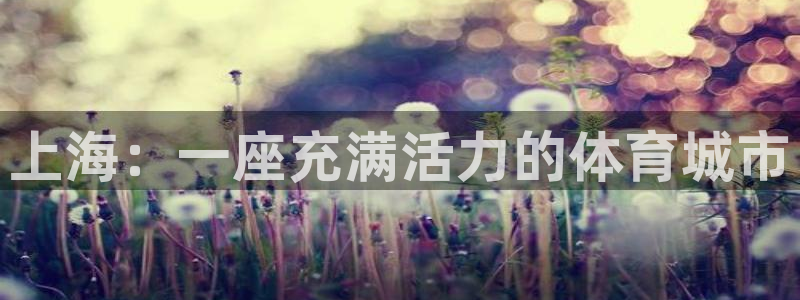 意昂体育4平台APP：上海：一座充满活力的体育城市