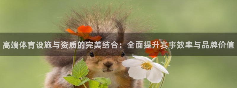 意昂4集团：高端体育设施与资质的完美结合：全面提升赛