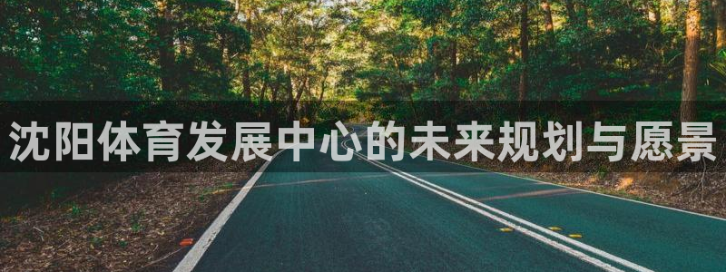 意昂4五金厂：沈阳体育发展中心的未来规划与愿景
