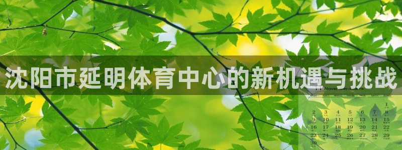 意昂4代理：沈阳市延明体育中心的新机遇与挑战
