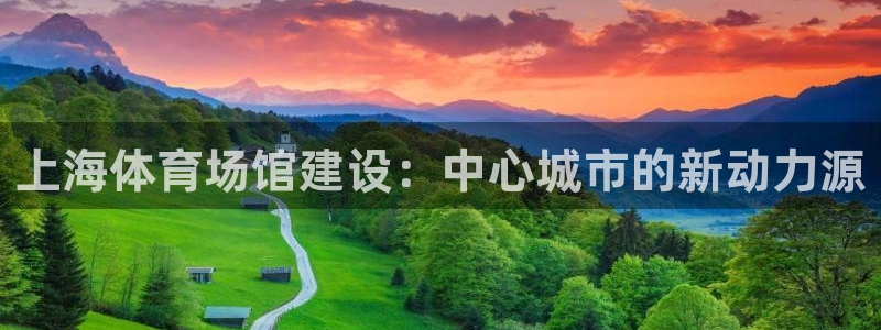 意昂4娱乐首页网站大全：上海体育场馆建设：中心城市的