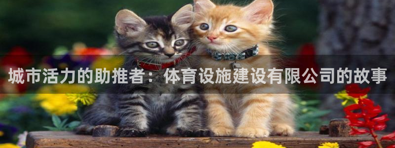 意昂4娱乐首页官网下载：城市活力的助推者：体育设施建