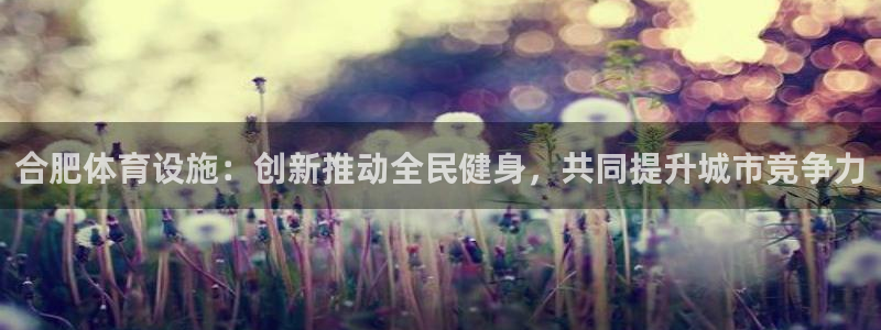 意昂体育4开户：合肥体育设施：创新推动全民健身，共同
