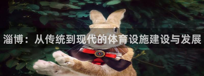 意昂体育4软件：淄博：从传统到现代的体育设施建设与发
