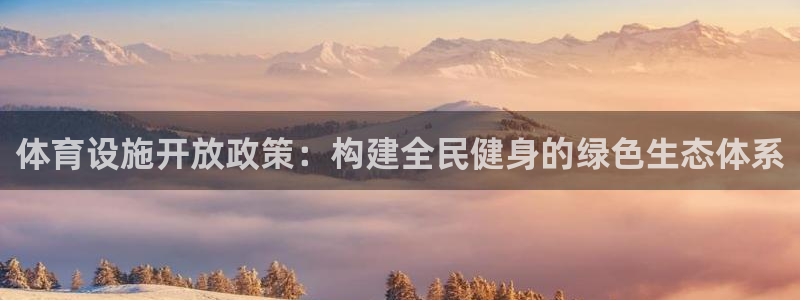 意昂4集团简介：体育设施开放政策：构建全民健身的绿色