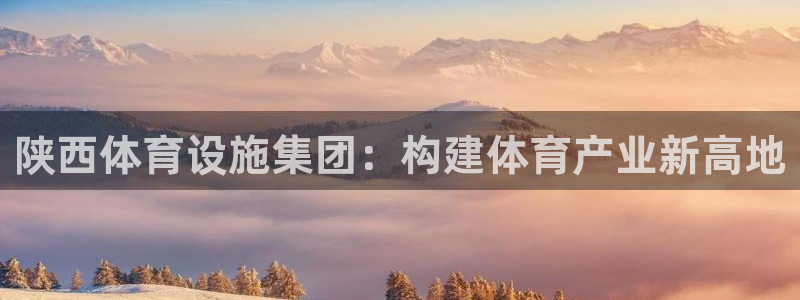 意昂体育4平台注册流程图：陕西体育设施集团：构建体育