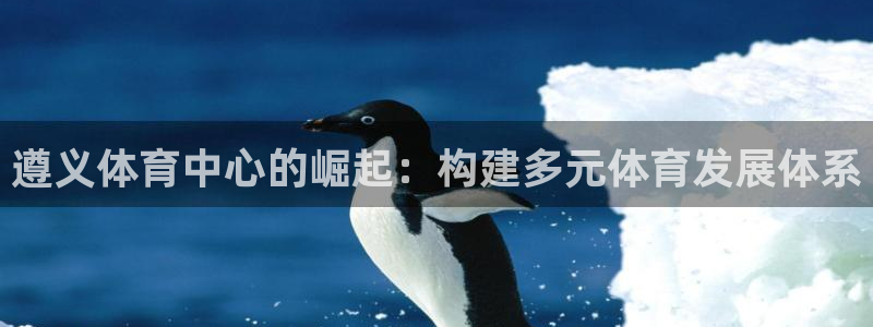 意昂4集团logo：遵义体育中心的崛起：构建多元体育