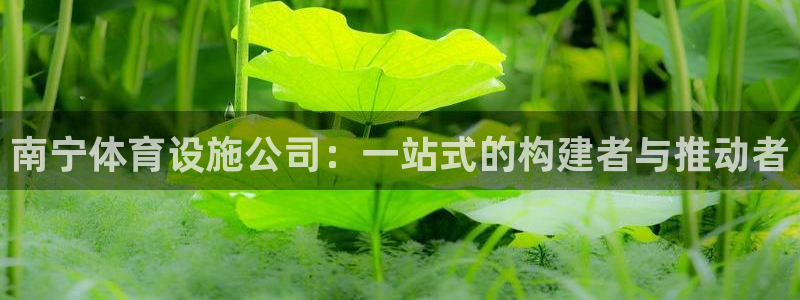 意昂体育4平台：南宁体育设施公司：一站式的构建者与推