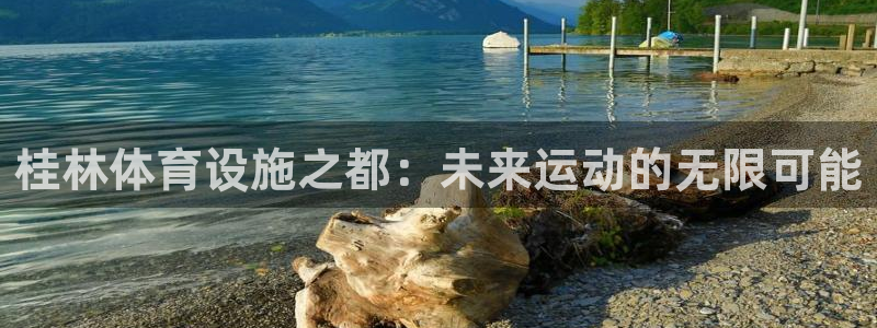 意昂4代理