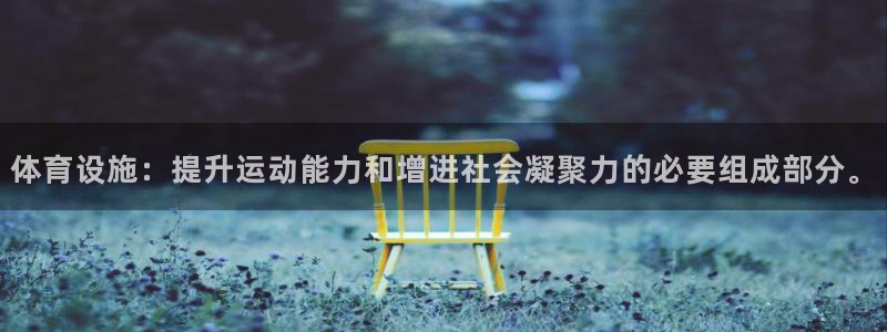 意昂体育4开户：体育设施：提升运动能力和增进社会凝聚