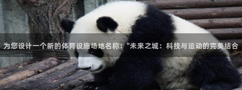 海南意昂体育4：为您设计一个新的体育设施场地名称：\