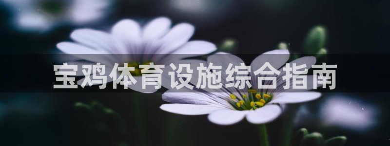意昂体育4平台：宝鸡体育设施综合指南