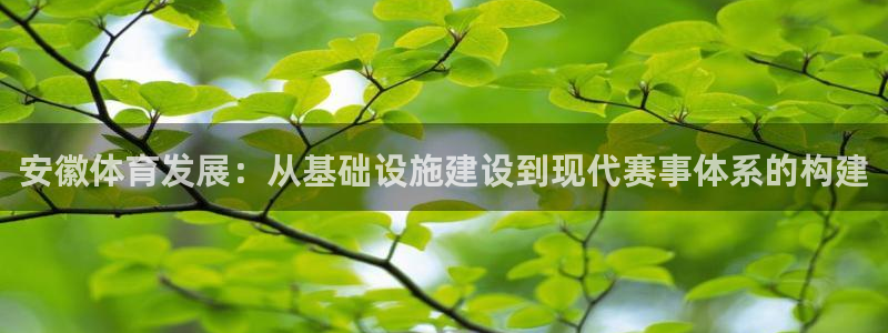 意昂体育4注册：安徽体育发展：从基础设施建设到现代赛事体系的