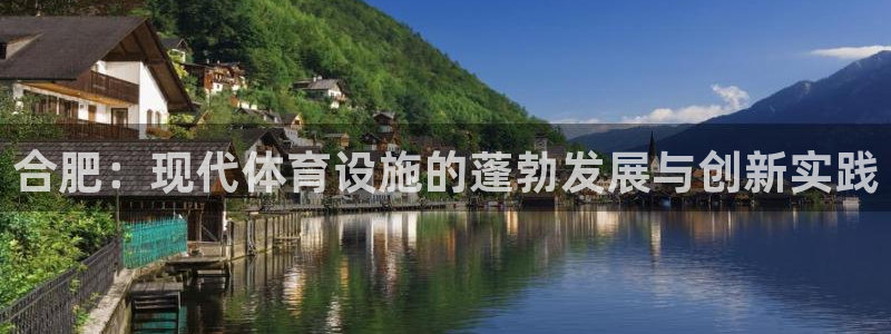 意昂体育4是干嘛的公司：合肥：现代体育设施的蓬勃发展与创新实