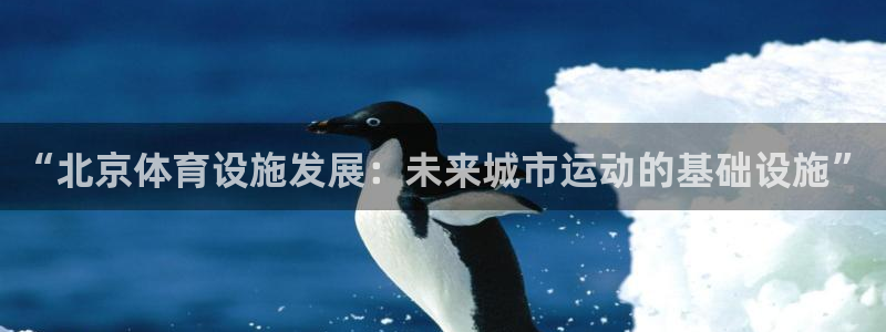 意昂体育4招商电话是多少啊：“北京体育设施发展：未来城市运动