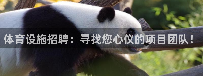 意昂体育4平台注册流程视频：体育设施招聘：寻找您心仪