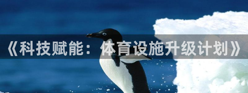 意昂体育4：《科技赋能：体育设施升级计划》
