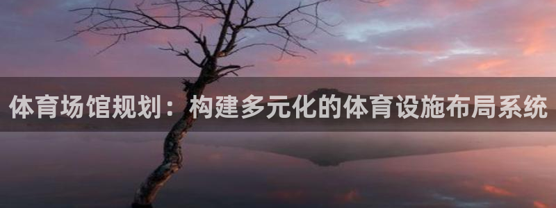 意昂体育4娱乐：体育场馆规划：构建多元化的体育设施布局系统