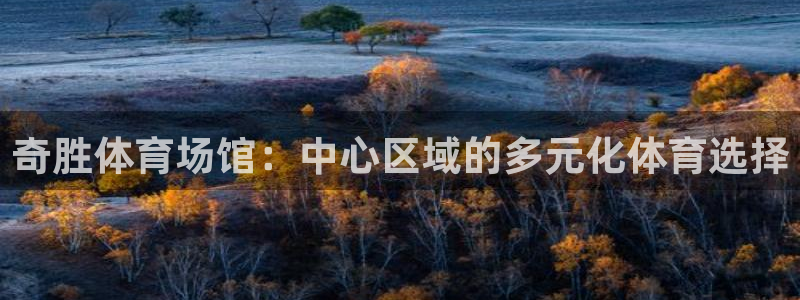 意昂体育4平台假的吗是真的吗：奇胜体育场馆：中心区域