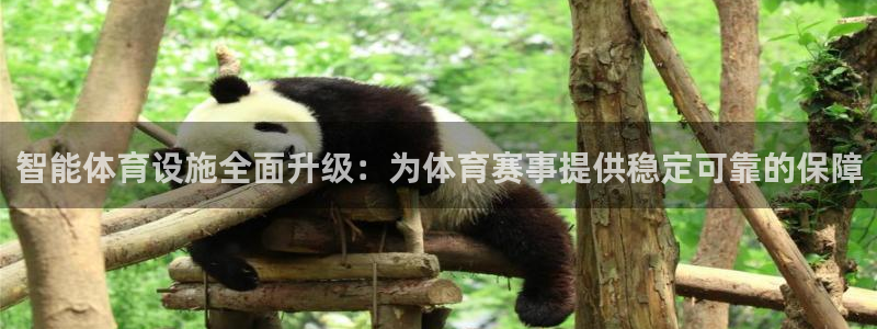 意昂体育4招商电话：智能体育设施全面升级：为体育赛事