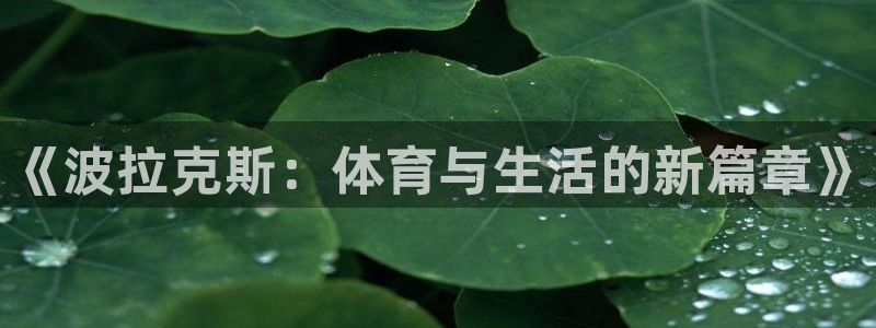 意昂4五金厂：《波拉克斯：体育与生活的新篇章》