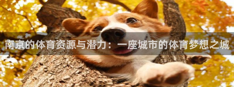 意昂体育4联系电话：南京的体育资源与潜力：一座城市的