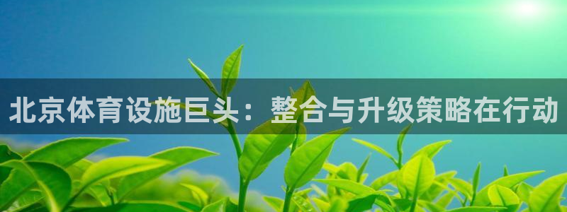 意昂体育4招商电话地址是多少：北京体育设施巨头：整合