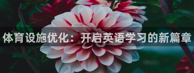 意昂体育4平台注册要钱吗：体育设施优化：开启英语学习