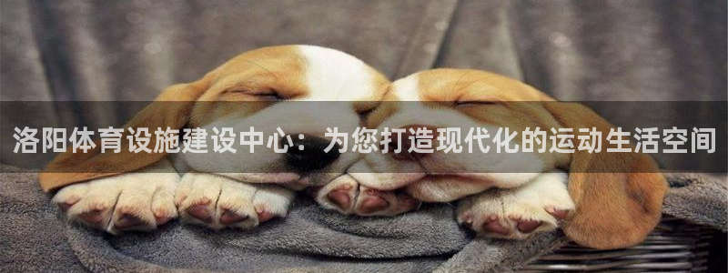 意昂体育4招商电话