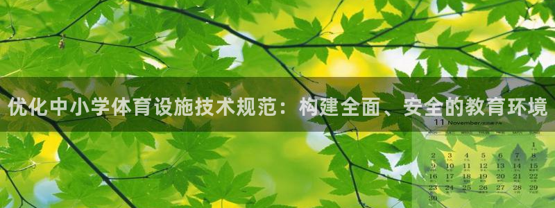 意昂体育4招商电话地址是多少：优化中小学体育设施技术规范：构