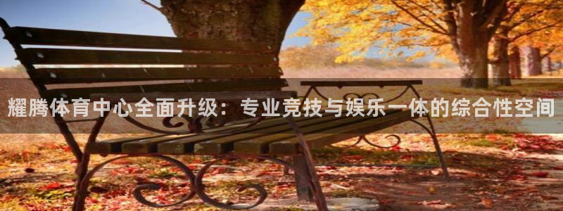 意昂体育4：耀腾体育中心全面升级：专业竞技与娱乐一体的综合性 