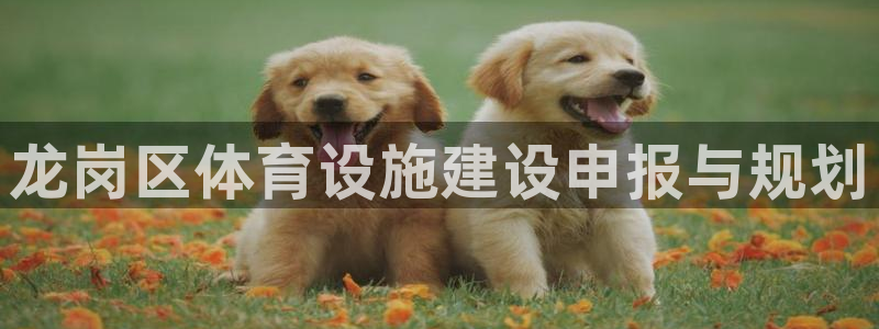 意昂4五金厂：龙岗区体育设施建设申报与规划