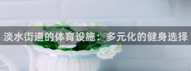 意昂体育4平台APP：淡水街道的体育设施：多元化的健