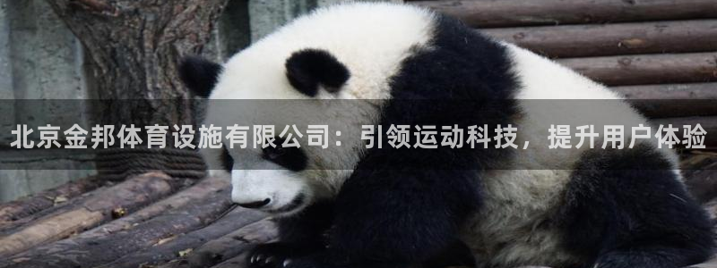 海南意昂体育4：北京金邦体育设施有限公司：引领运动科