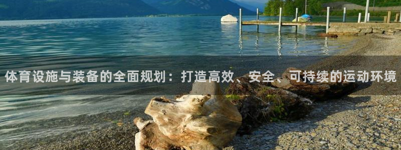 意昂体育4是干嘛的公司：体育设施与装备的全面规划：打