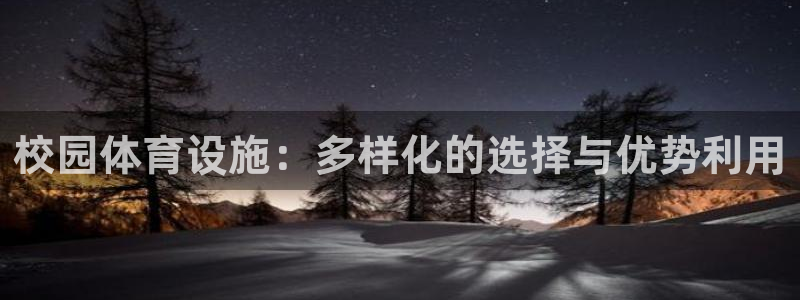 意昂4集团E.ON：校园体育设施：多样化的选择与优势