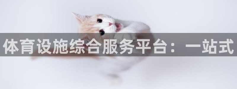 意昂4官网：体育设施综合服务平台：一站式