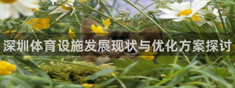 意昂4神州：深圳体育设施发展现状与优化方案探讨