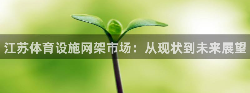 意昂体育4招商电话地址：江苏体育设施网架市场：从现状