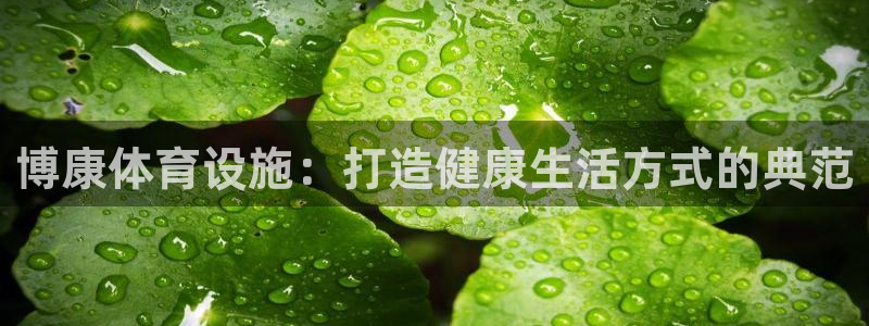 意昂4娱乐：博康体育设施：打造健康生活方式的典范