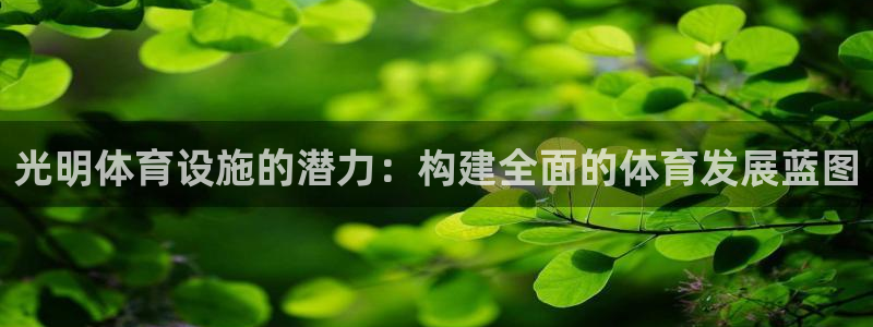 意昂体育4开户：光明体育设施的潜力：构建全面的体育发