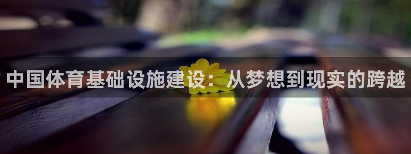 意昂体育4招商电话号码：中国体育基础设施建设：从梦想