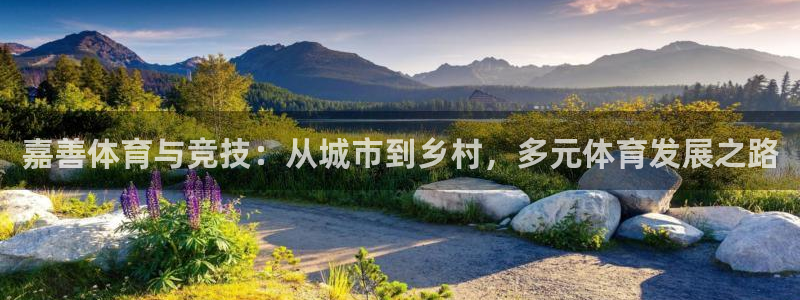 意昂4集团简介：嘉善体育与竞技：从城市到乡村，多元体