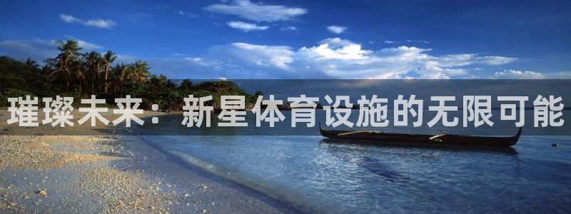 意昂4代理：璀璨未来：新星体育设施的无限可能