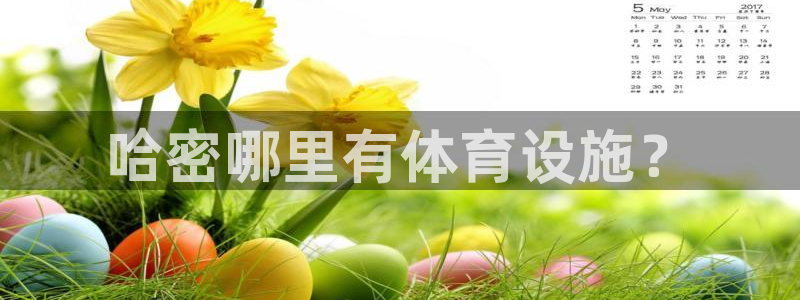 意昂体育4
