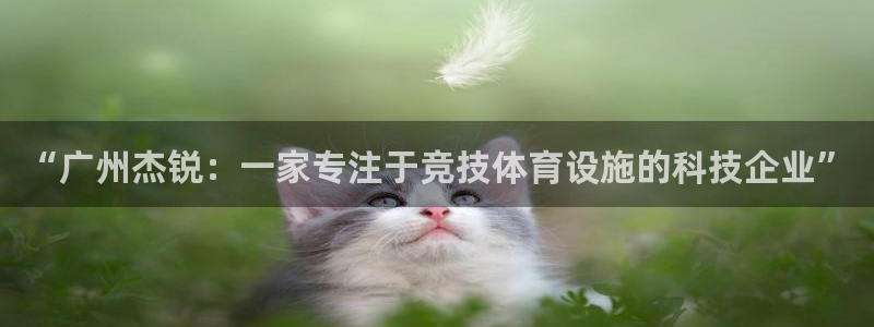 注册意昂4：“广州杰锐：一家专注于竞技体育设施的科技