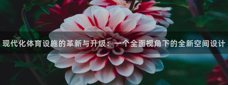 意昂体育4娱乐：现代化体育设施的革新与升级：一个全面视角下的