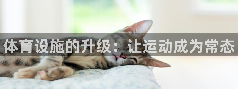 意昂4代理：体育设施的升级：让运动成为常态