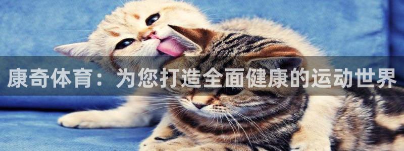 意昂4娱乐平台：康奇体育：为您打造全面健康的运动世界